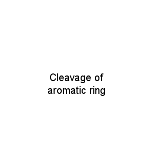 Cleavage of aromatic ring